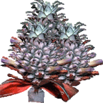 Ananas