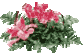 Šopek
