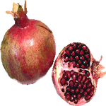 Granatno jabolko