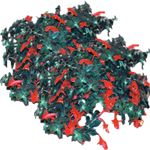 Kolumneja