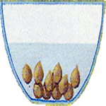 Navadna jarica