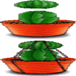 Neoporterija