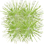 Papirjevec