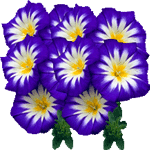 Tribarvni slak