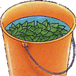 Vodna hijacinta